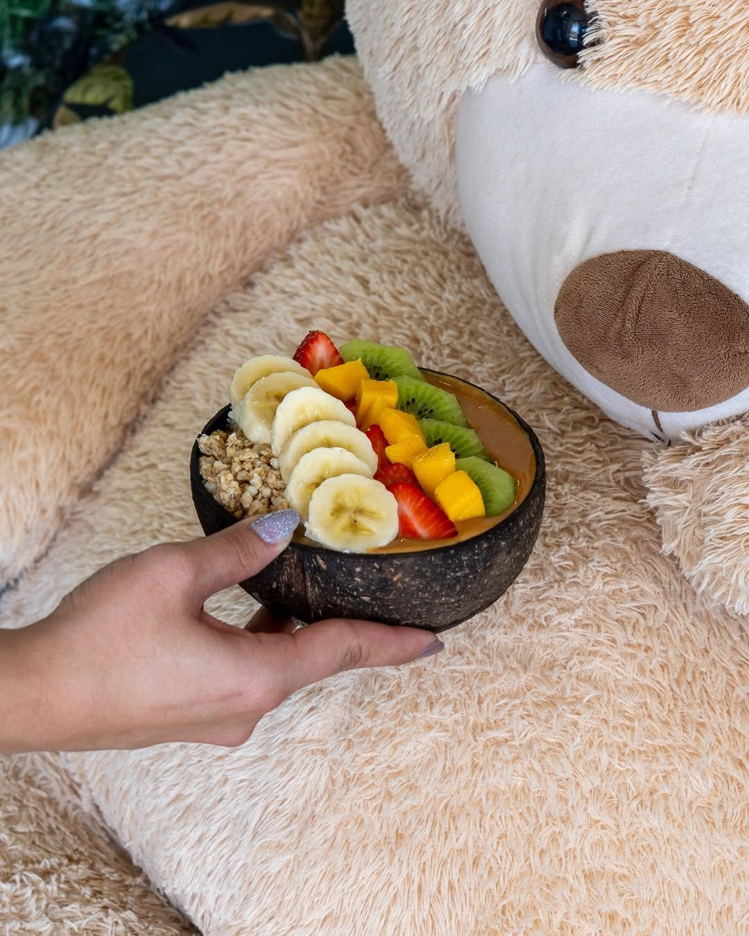 Taça feita de coco com puré cor de laranja, banana, kiwi, morango, manga e granola, segurada por uma mão, em frente a um urso de peluche